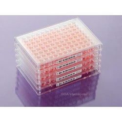 DYMO® LabelWriter™ Cryogenic Labels for Frozen Surfaces – 50.8mm x 6.4mm | LabCollector Compatible