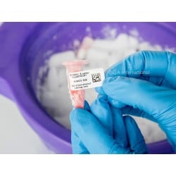 Cryogenic Labels for Frozen Surfaces – 38.1mm x 12.7mm | LabCollector Compatible