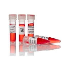 Cryogenic Labels for Frozen Surfaces – 38.1mm x 12.7mm | LabCollector Compatible